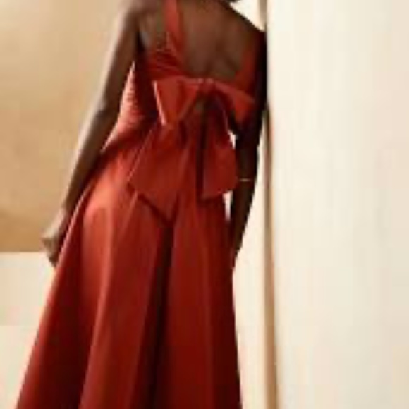 NEW WITH TAGS Banana Republic x Harbison Rust Colored Midi Sleeveless Dress - Picture 5 of 5